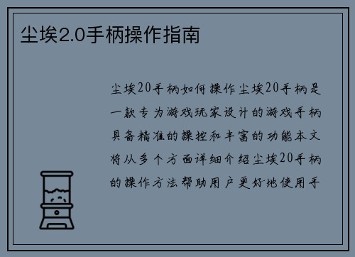 尘埃2.0手柄操作指南
